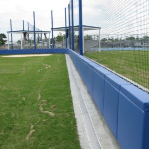 andrew-jackson-baseball-pads andrew-jackson-baseball-pads